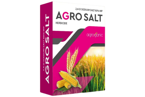 Agroganic - Seeds | Fertilizer | Pesticide